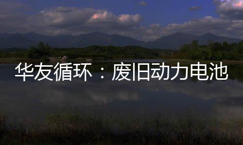 华友循环:废旧动力电池处理产能每年可回收5783吨钴