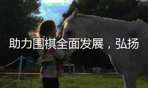 助力围棋全面发展,弘扬中华传统文化——2020年围甲联赛拉开战幕,民生信用卡北京队蓄势待发