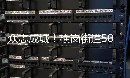 众志成城!横岗街道500余名两新组织党员主动请愿抗疫