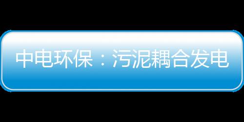 中电环保:污泥耦合发电业务致净利润大幅增长