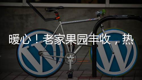暖心!老家果园丰收,热心居民为防疫一线送来百余箱李子