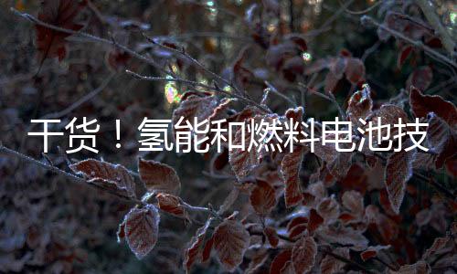 干货!氢能和燃料电池技术路线图
