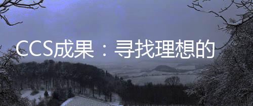 CCS成果:寻找理想的CO2地下储存位置